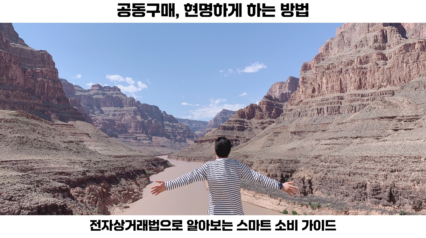 전자상거래법상 공동구매 시 주의할 점: 알고 사는 똑똑한 소비자 되기 2 전자상거래가 발전하면서 공동구매의 인기도 높아졌습니다.