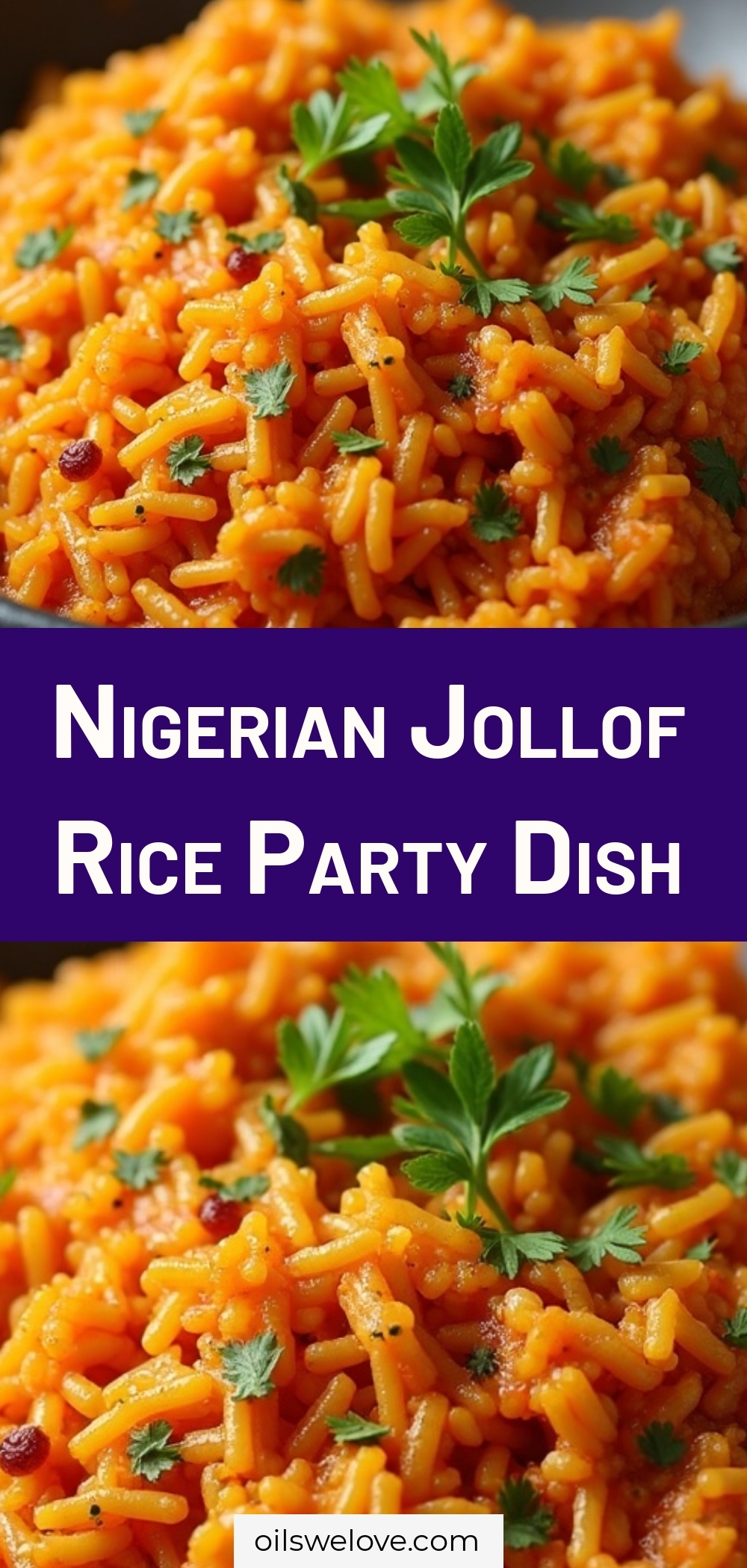Nigerian Jollof Rice Party Dish