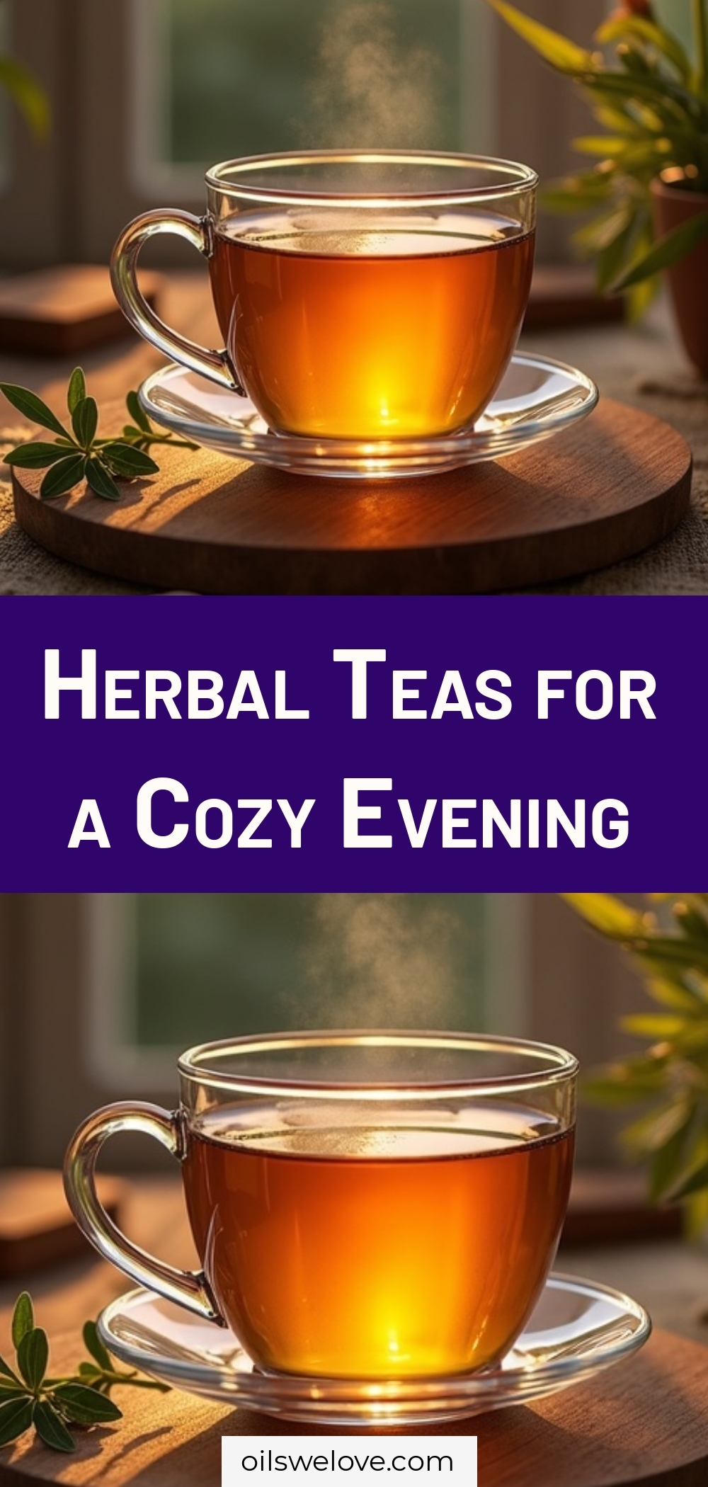 Herbal Teas for a Cozy Evening