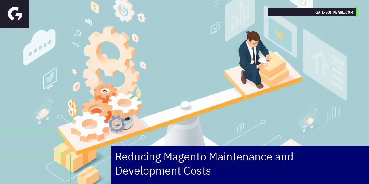 Magento optimization with budget and support strategies