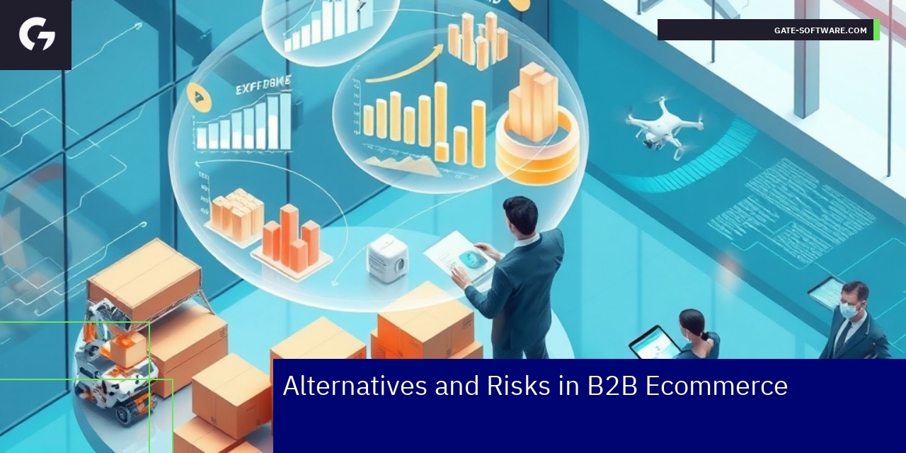 Business models and risks in B2B ecommerce platforms