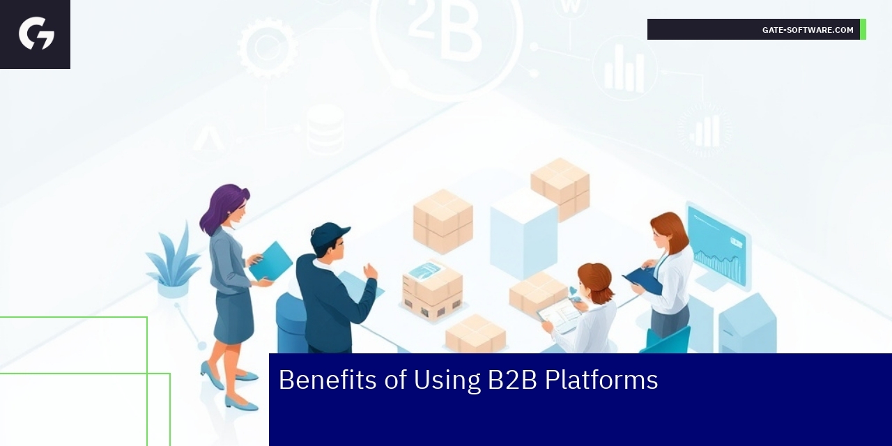 Illustration of B2B digital platform workflow