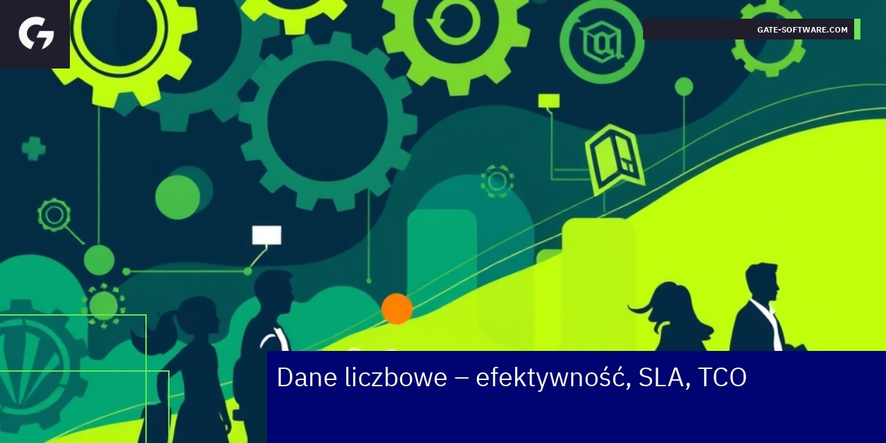 Efektywność operacyjna Gate-Software Dane liczbowe o efektywności