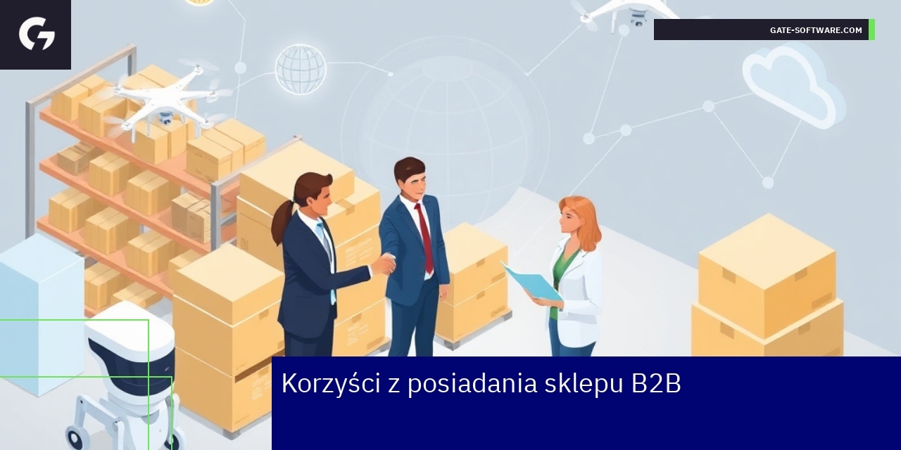Schemat korzyści i funkcji sklepu B2B