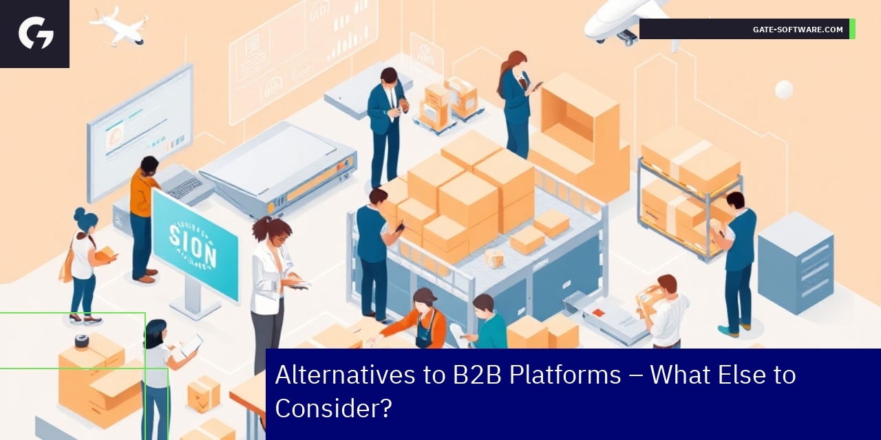 Illustration of diverse B2B eCommerce models and strategies