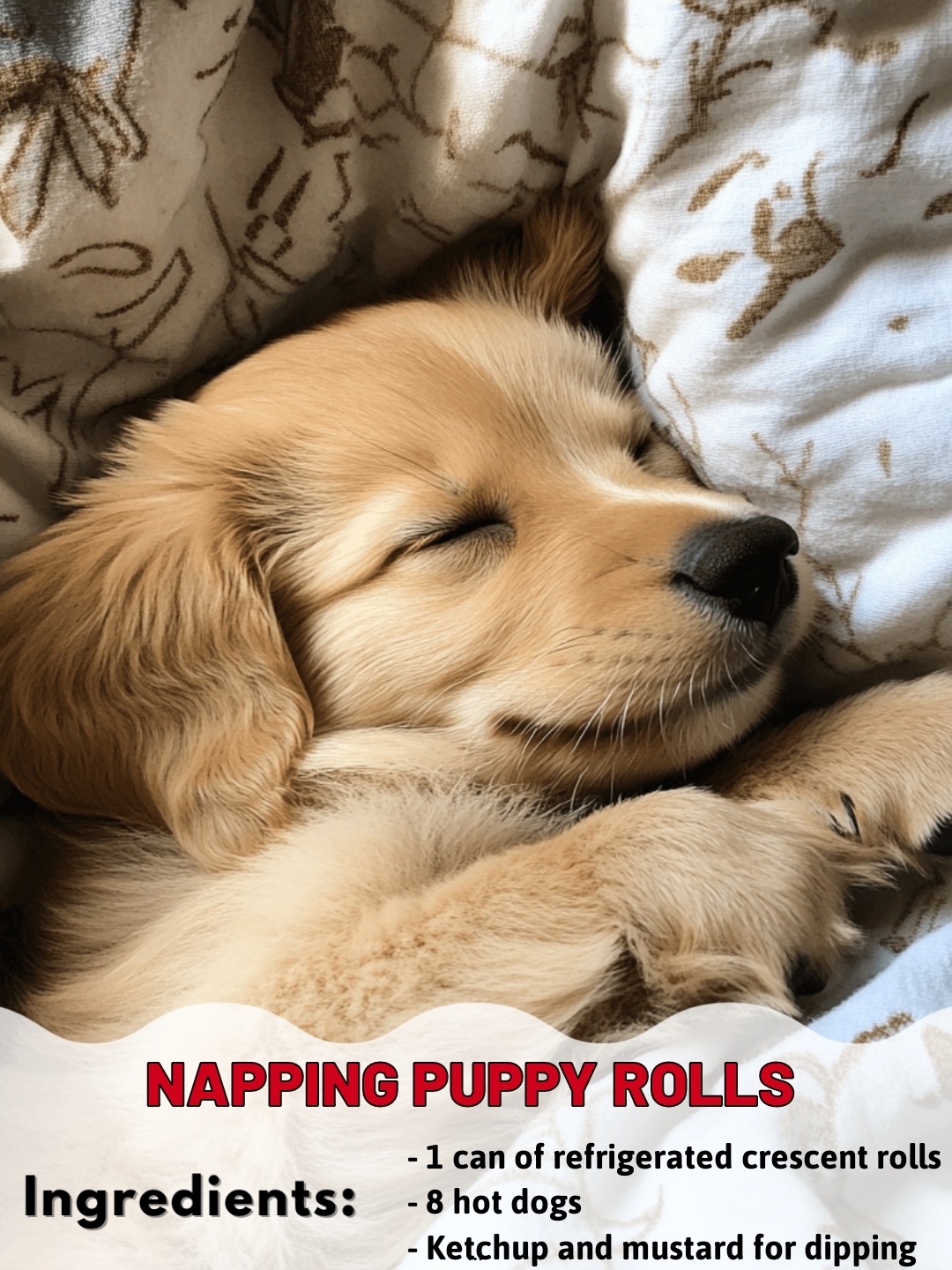 NAPPING PUPPY ROLLS