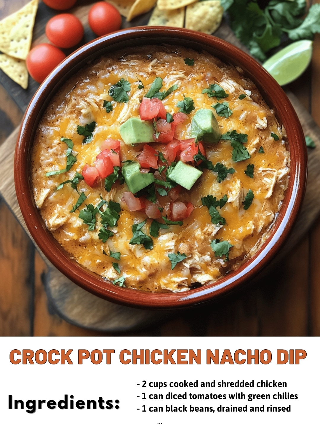 Crock Pot Chicken Nacho Dip