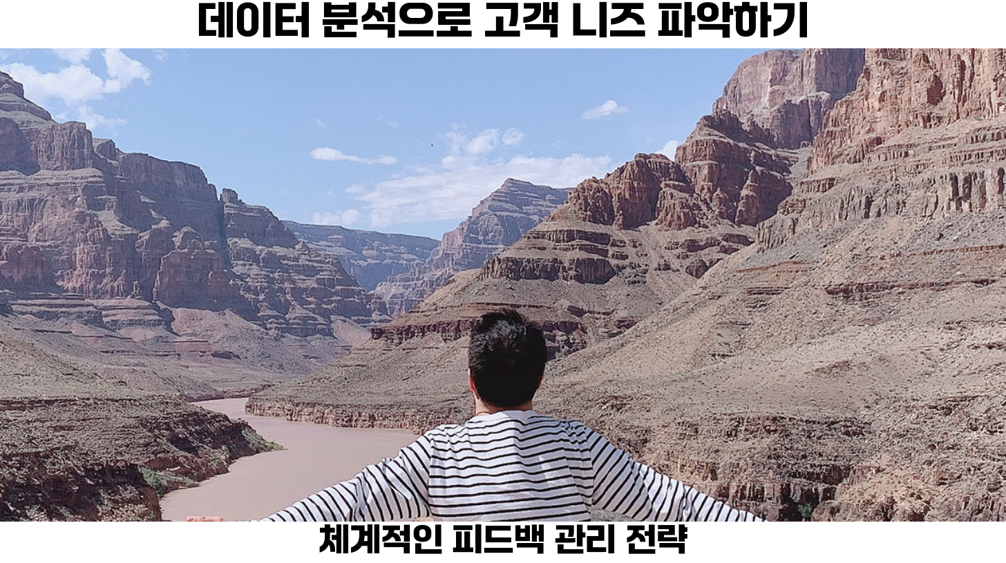 공동구매 자동화 시스템 도입을 위한 고객 피드백 대응 전략 4 고객 교육 및 안내가 필수적입니다.