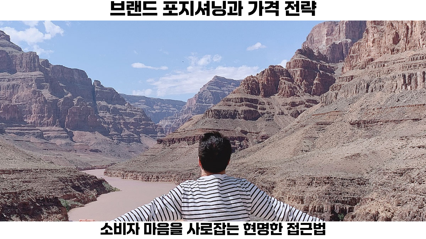 브랜드 포지셔닝에 맞는 가격 전략을 선택하여 소비자 지각된 가치를 높이는 것이 성공적인 마케팅 전략이 될 것입니다.