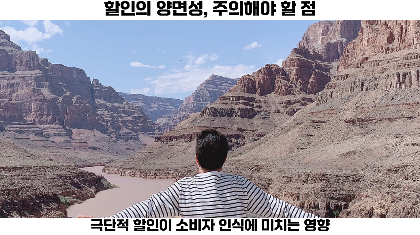 가격 할인율의 변화는 소비자의 지각된 가치와 희생을 좌우합니다. 지각된 가치는 소비자가 느끼는 품질과 지불해야 하는 금액 사이의 교환 관계로 형성됩니다.