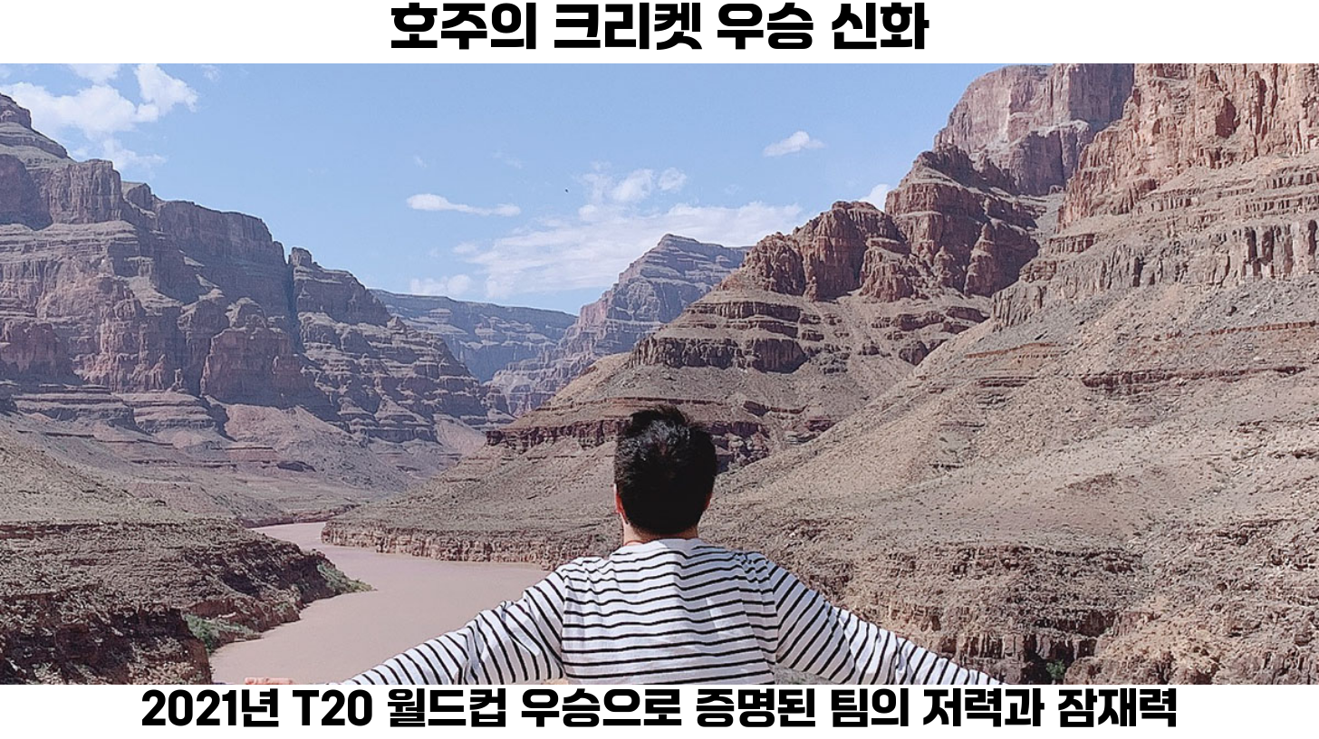 ICC 남자 T20 월드컵의 종합 및 의견