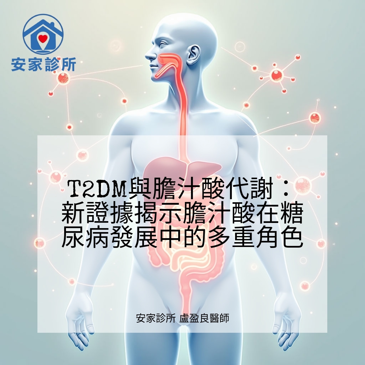 T2DM與膽汁酸代謝示意圖