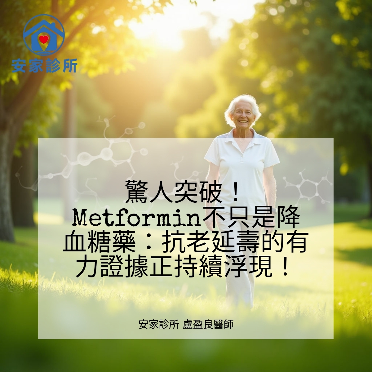 Metformin抗老藥物研究圖